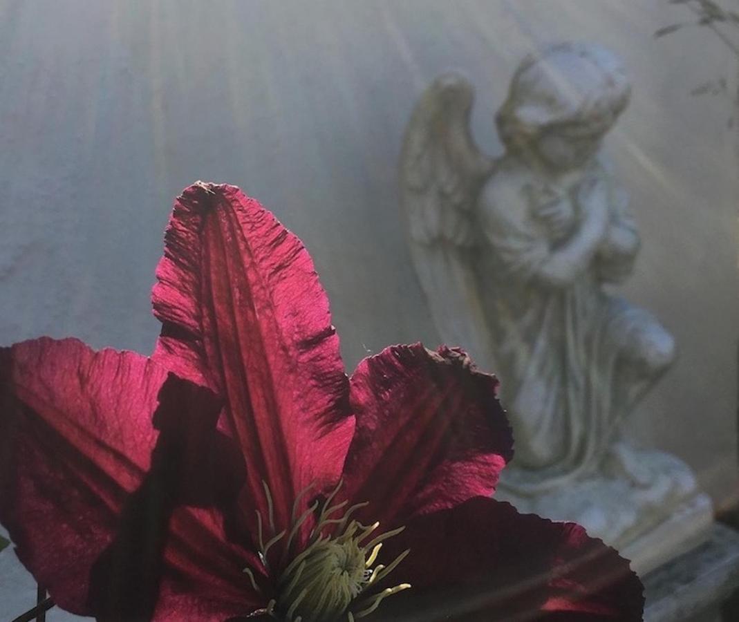Kastanjegarden Pa Stenshuvud كيفيك المظهر الخارجي الصورة