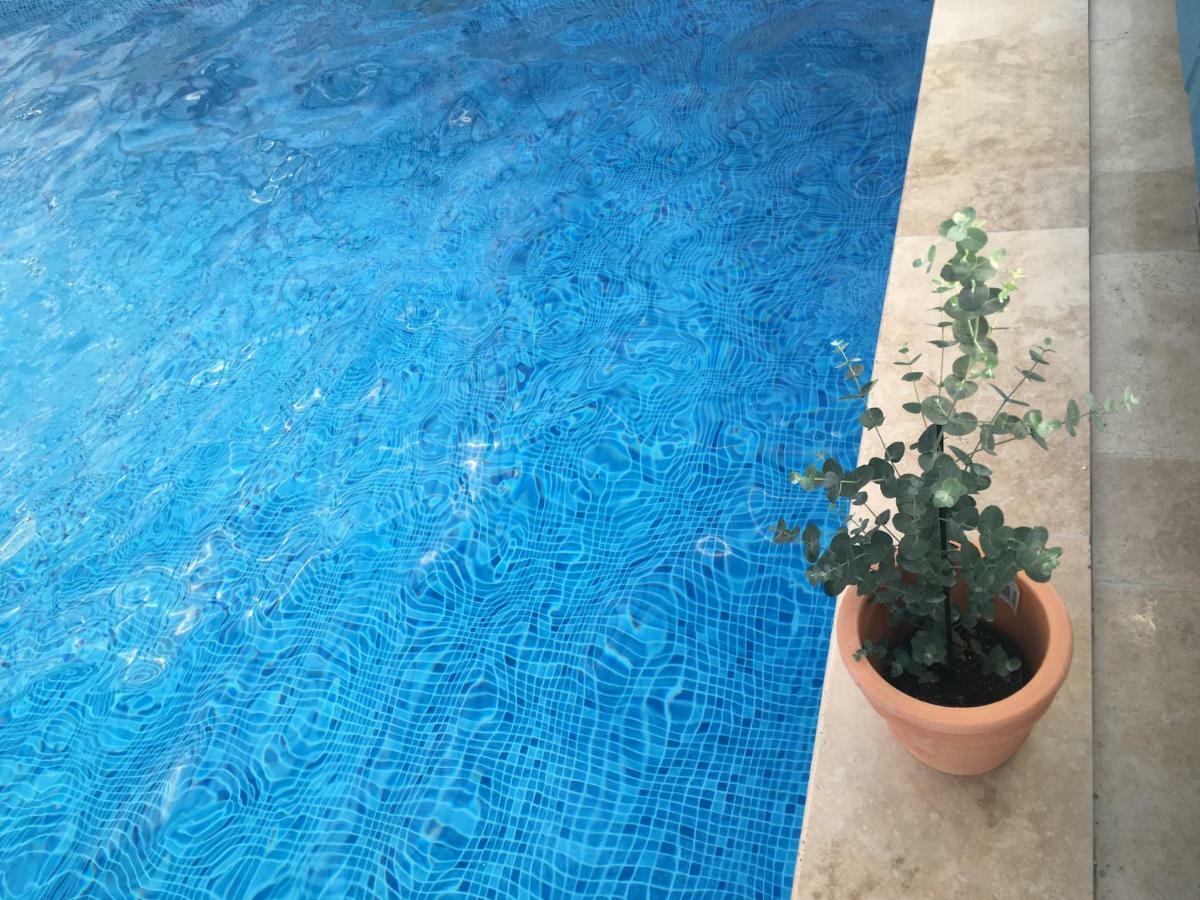 Kastanjegarden Pa Stenshuvud كيفيك المظهر الخارجي الصورة