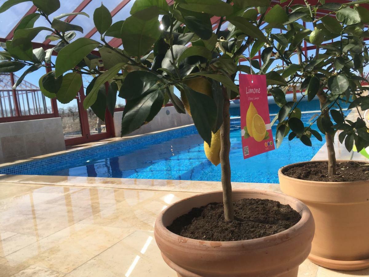 Kastanjegarden Pa Stenshuvud كيفيك المظهر الخارجي الصورة